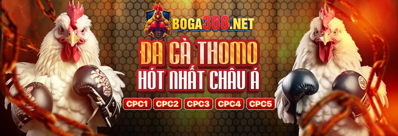 Sảnh Đá Gà Trực Tuyến GK88BET