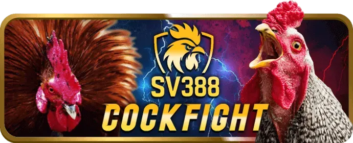 Biểu tượng đa dạng môn thể thao trên gk88bet code